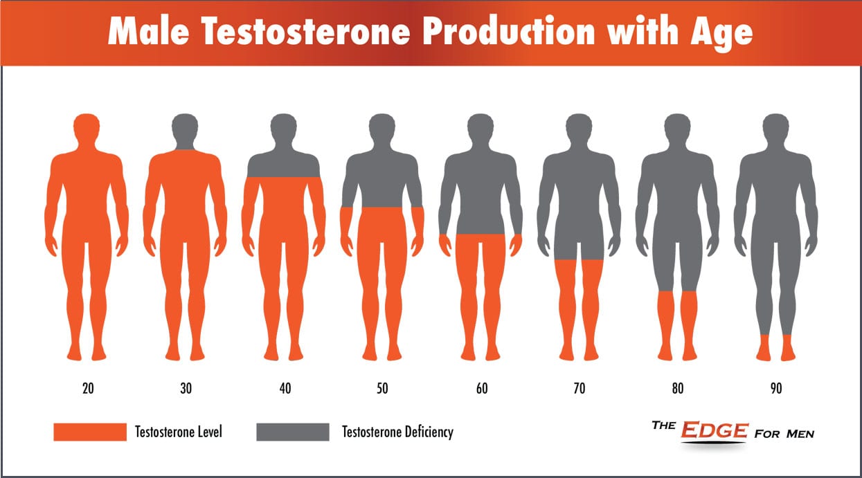 Male Testosterone Levels Over Time Elevate Md