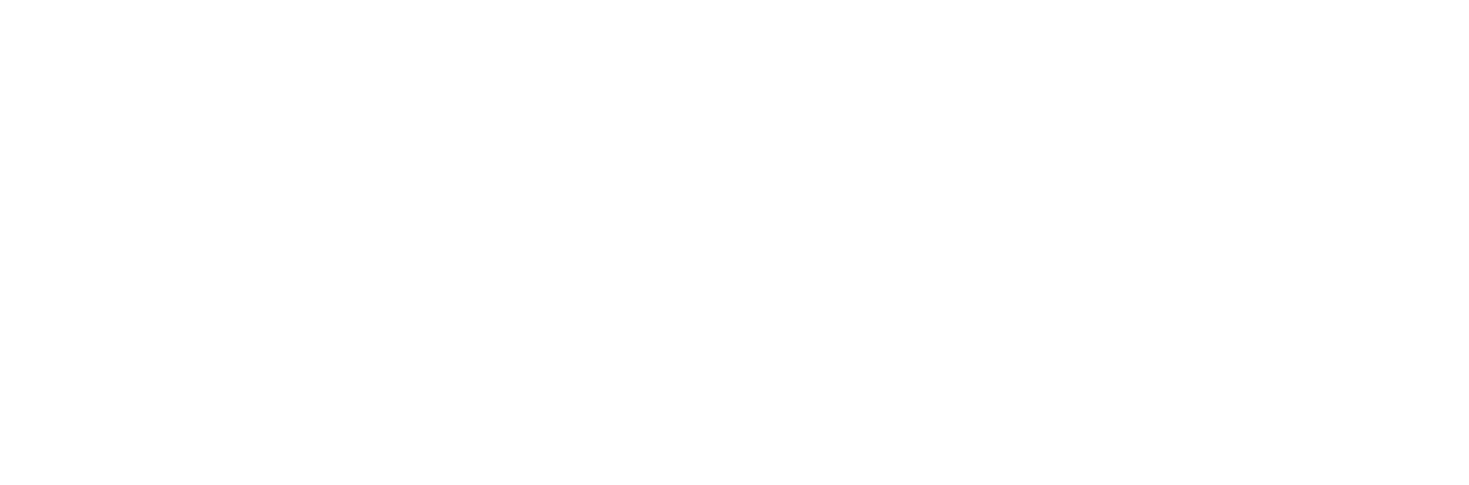 Elevate MD Logo
